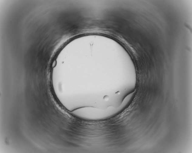 X0000096161416200802081424