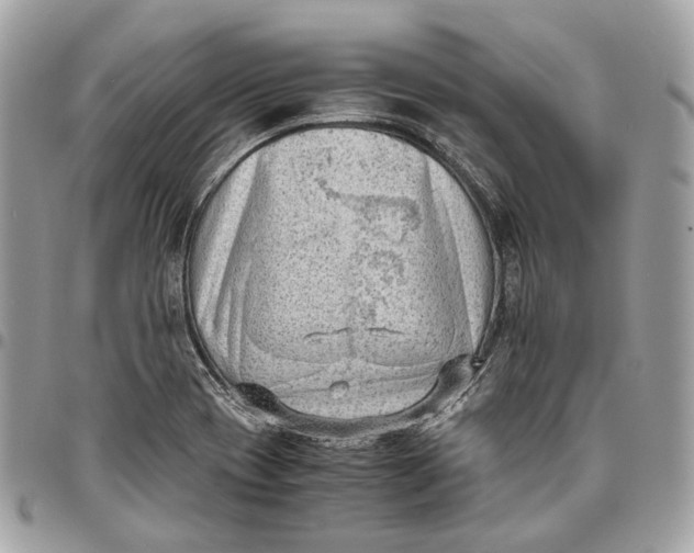 X0000096161417200802081424