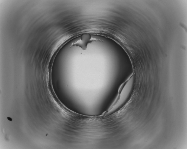 X0000096161418200802081424