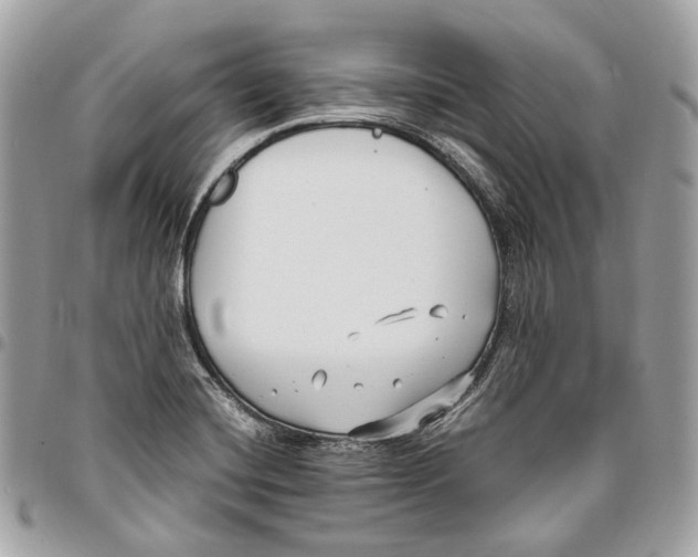 X0000096161420200802081424