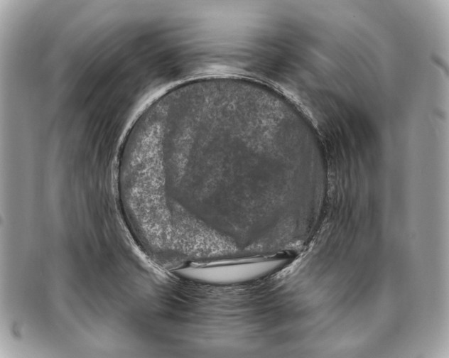 X0000096161421200802081424