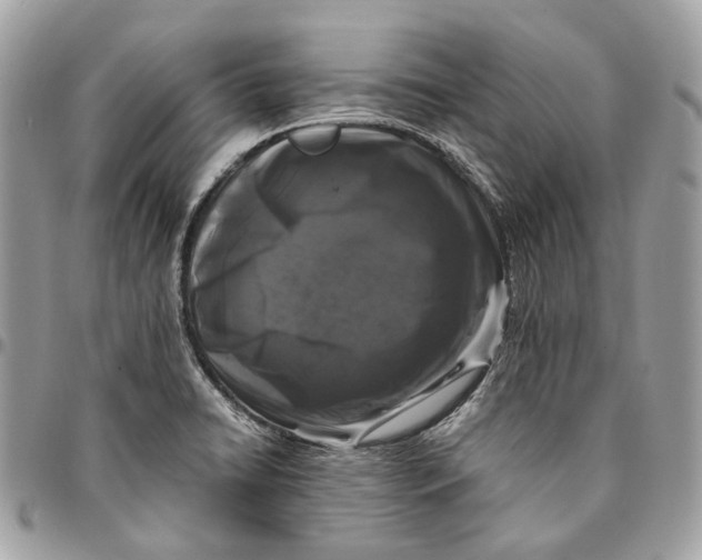 X0000096161422200802081424