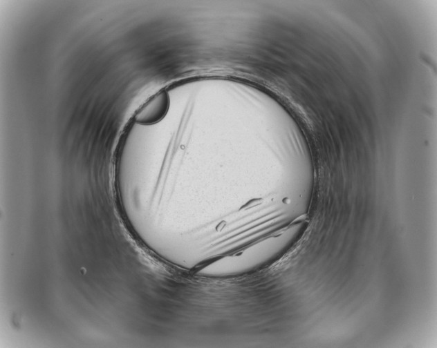 X0000096161424200802081424