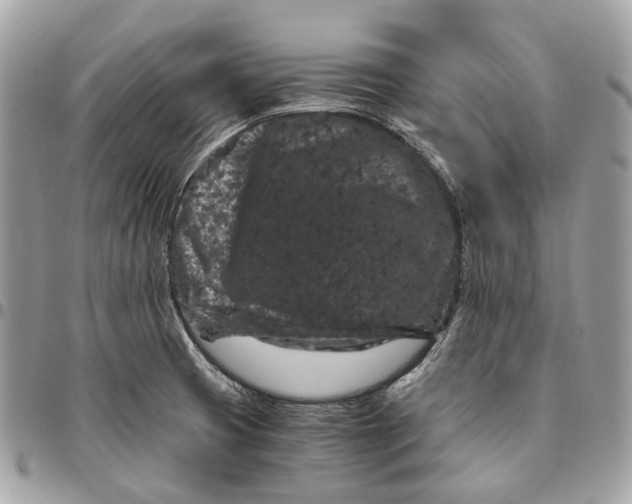 X0000096161425200802081424