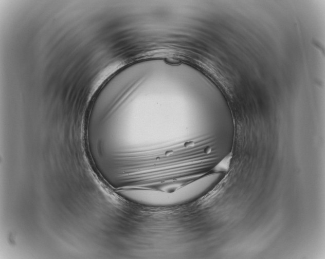 X0000096161426200802081424