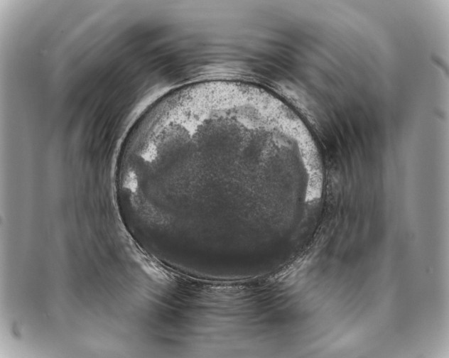 X0000096161427200802081424