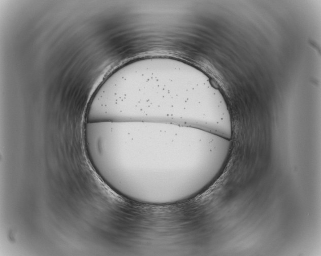 X0000096161428200802081424