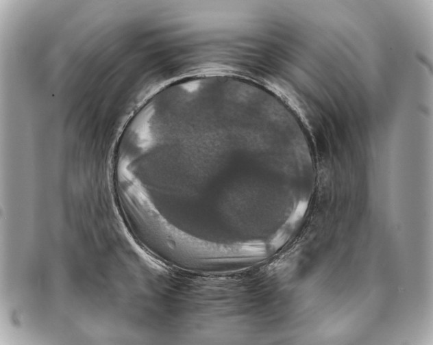 X0000096161429200802081424