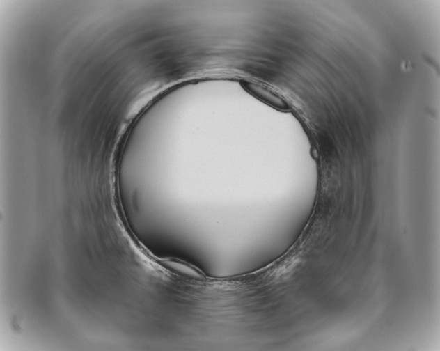 X0000096161430200802081424