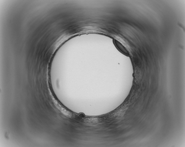 X0000096161431200802081424