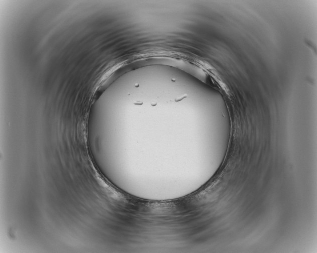 X0000096161433200802081424