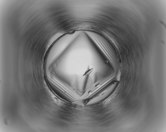 X0000096161434200802081424