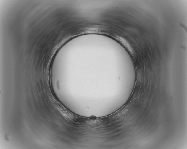 X0000096161435200802081424