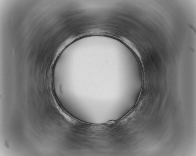 X0000096161437200802081424