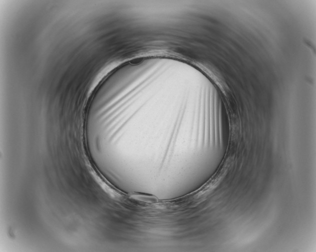 X0000096161438200802081424