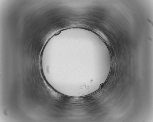 X0000096161439200802081424