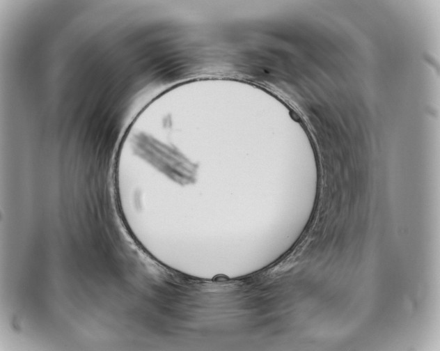 X0000096161440200802081424