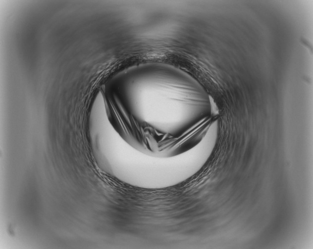 X0000096161441200802081423