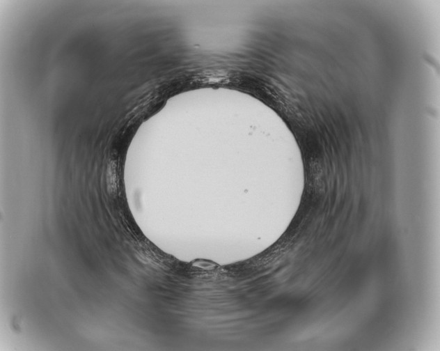 X0000096161442200802081423