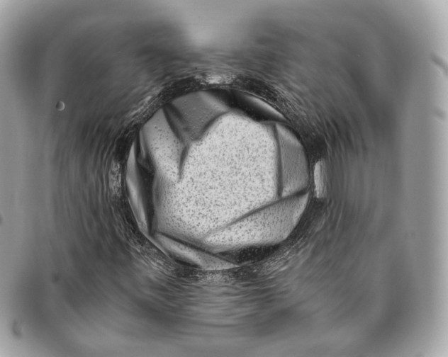 X0000096161443200802081423