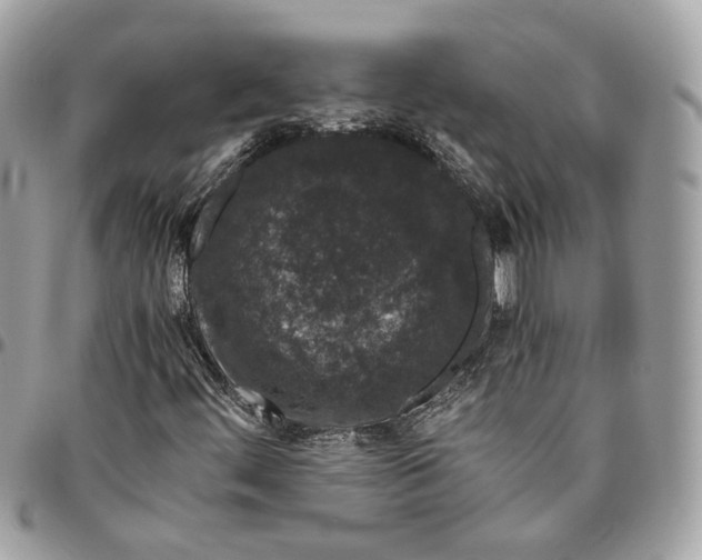 X0000096161444200802081423