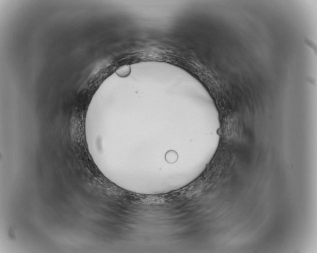 X0000096161446200802081423