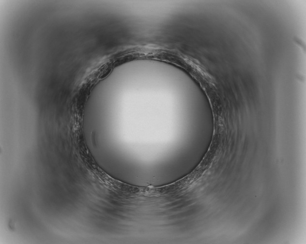 X0000096161447200802081423