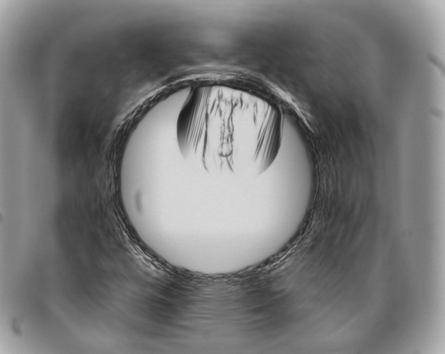 X0000096161448200802081423