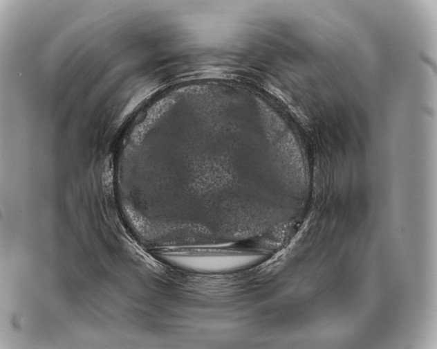 X0000096161450200802081423