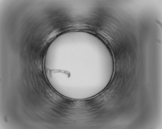 X0000096161451200802081423