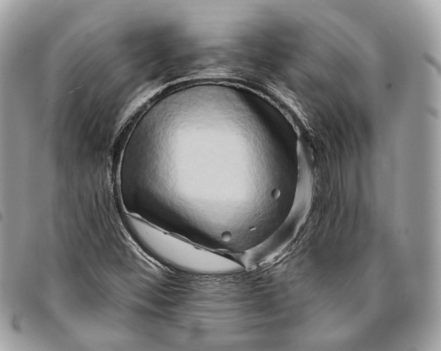 X0000096161452200802081423