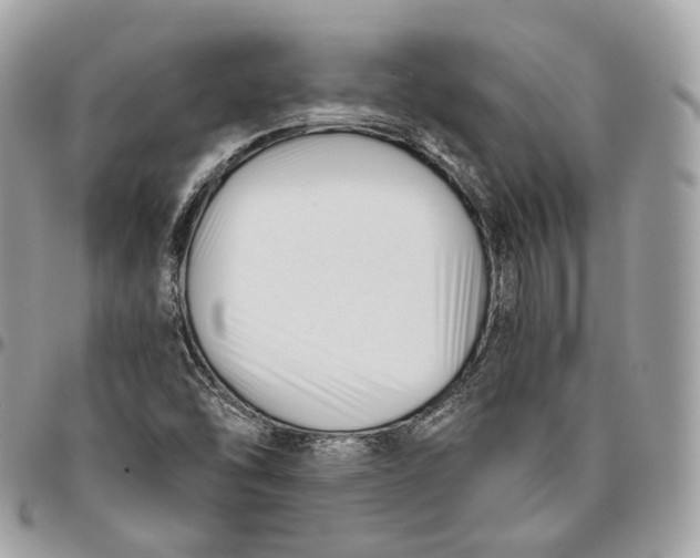 X0000096161454200802081423