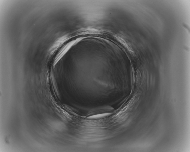 X0000096161455200802081423