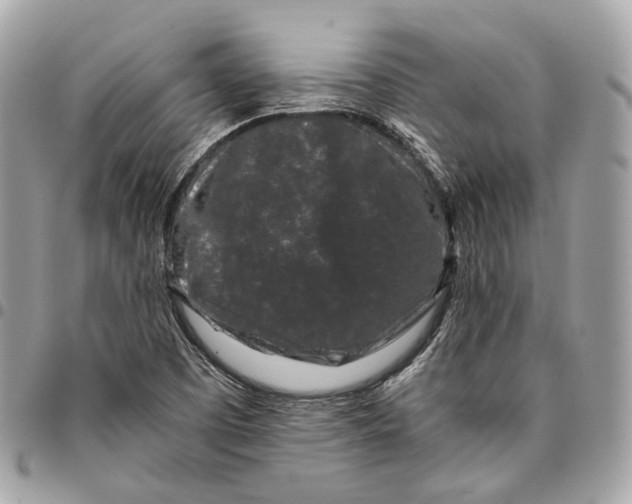 X0000096161457200802081423