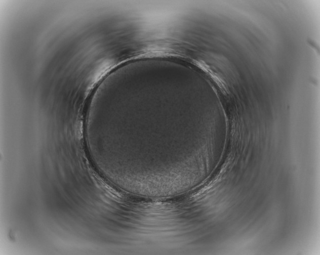 X0000096161459200802081423