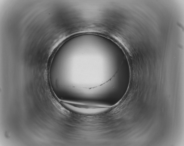 X0000096161460200802081423