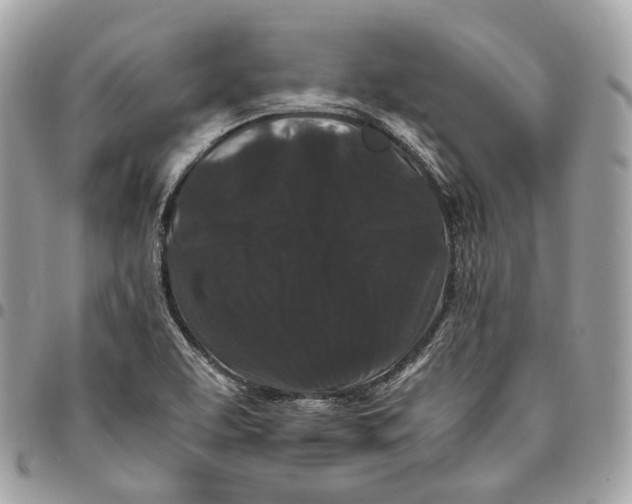 X0000096161463200802081423