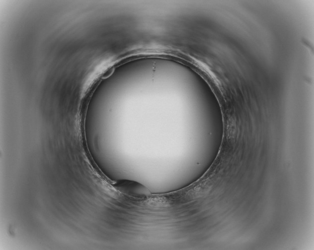 X0000096161464200802081423