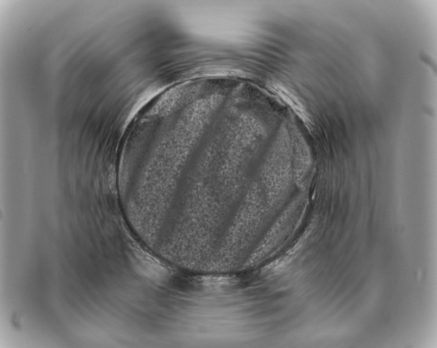 X0000096161465200802081423