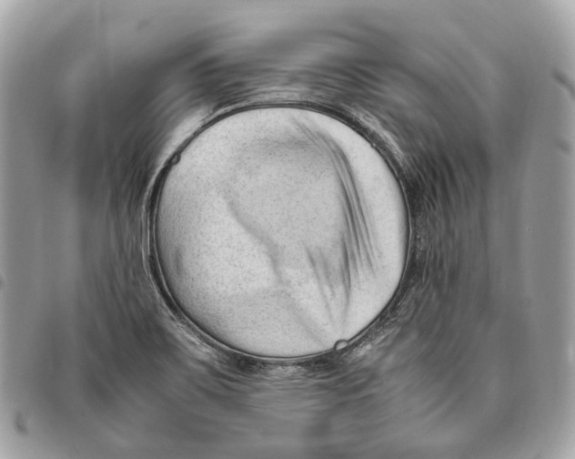 X0000096161467200802081423