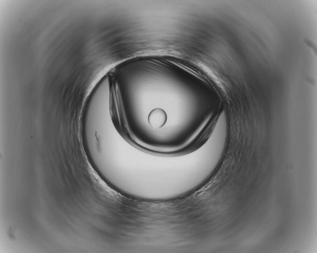 X0000096161468200802081423