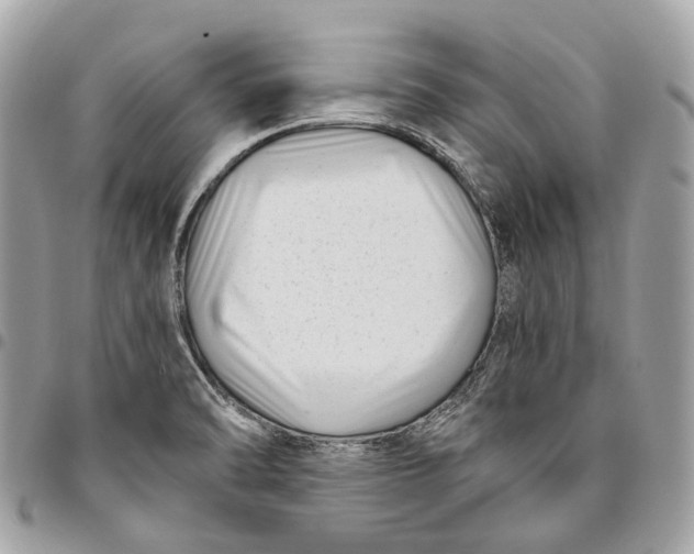 X0000096161470200802081423