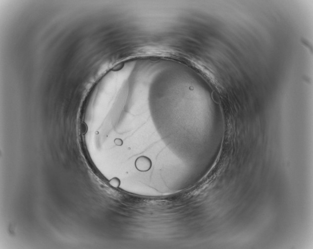 X0000096161471200802081423