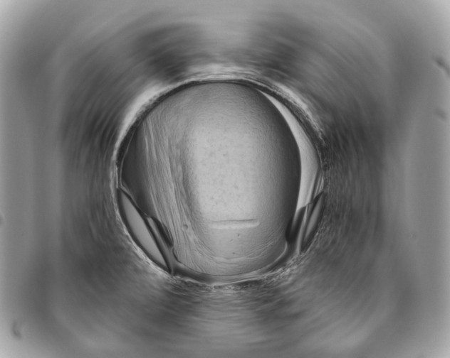 X0000096161472200802081423