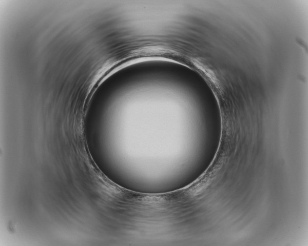 X0000096161473200802081423