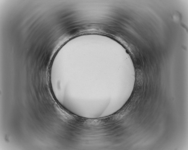 X0000096161474200802081423