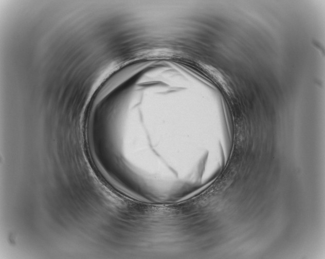 X0000096161475200802081423