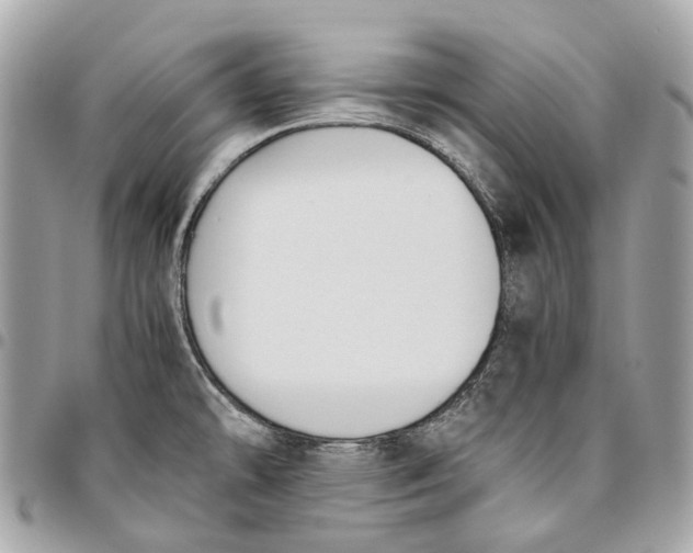 X0000096161478200802081423