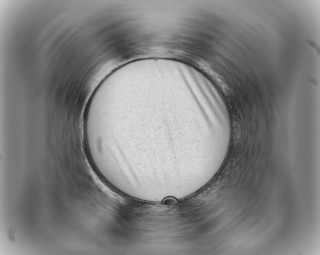 X0000096161479200802081423