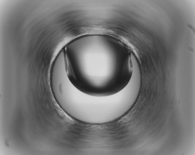 X0000096161480200802081423